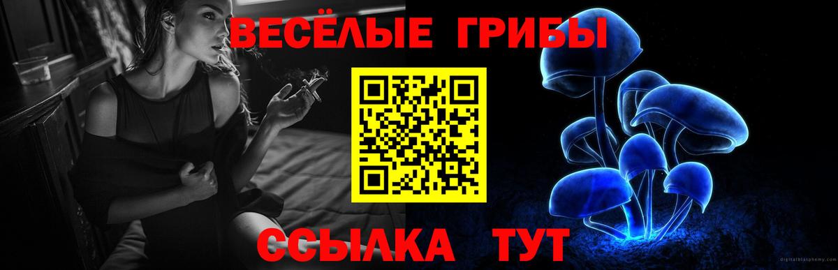 Псилоцибиновые грибы MAGIC MUSHROOMS  Вход с VPN  Арзамас 
